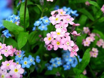 livewirelois's tweet photo. Happy Tuesday🦋Twitterworld🙋‍♀️💙V💗R💙 https://t.co/Qhd8RqIp16