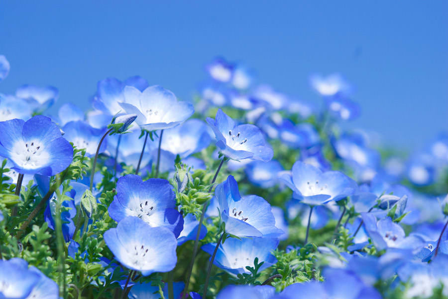 livewirelois's tweet photo. Happy Tuesday🦋Twitterworld🙋‍♀️💙V💗R💙 https://t.co/Qhd8RqIp16