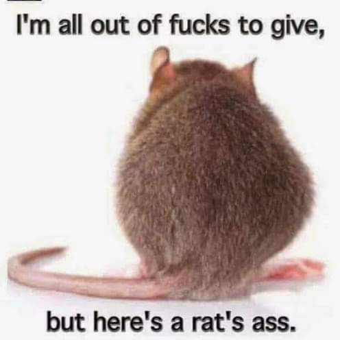 Anyone who buys into QAnon to begin with isn't terribly educated nor terribly intelligent; I really don't care do u? https://t.co/dAkcshSrzG https://t.co/yOjZuuV9kV