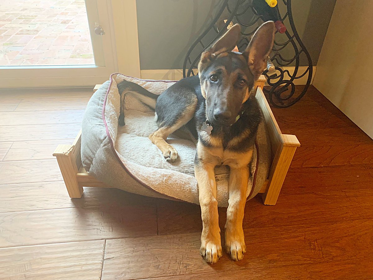 Cami Ryan, PhD tweet media