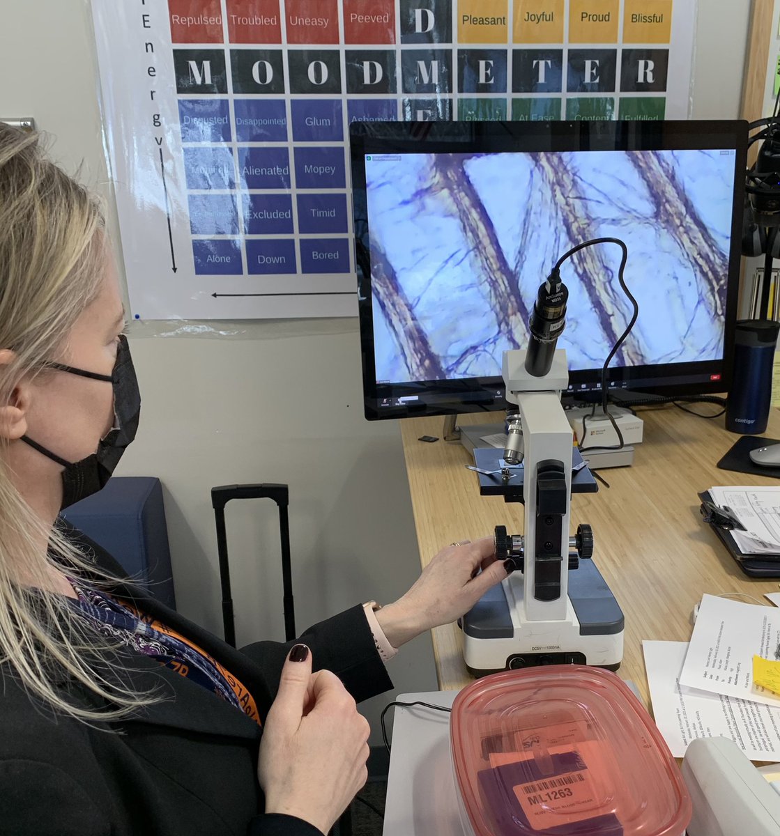 Seven Bridges Middle School tweet media