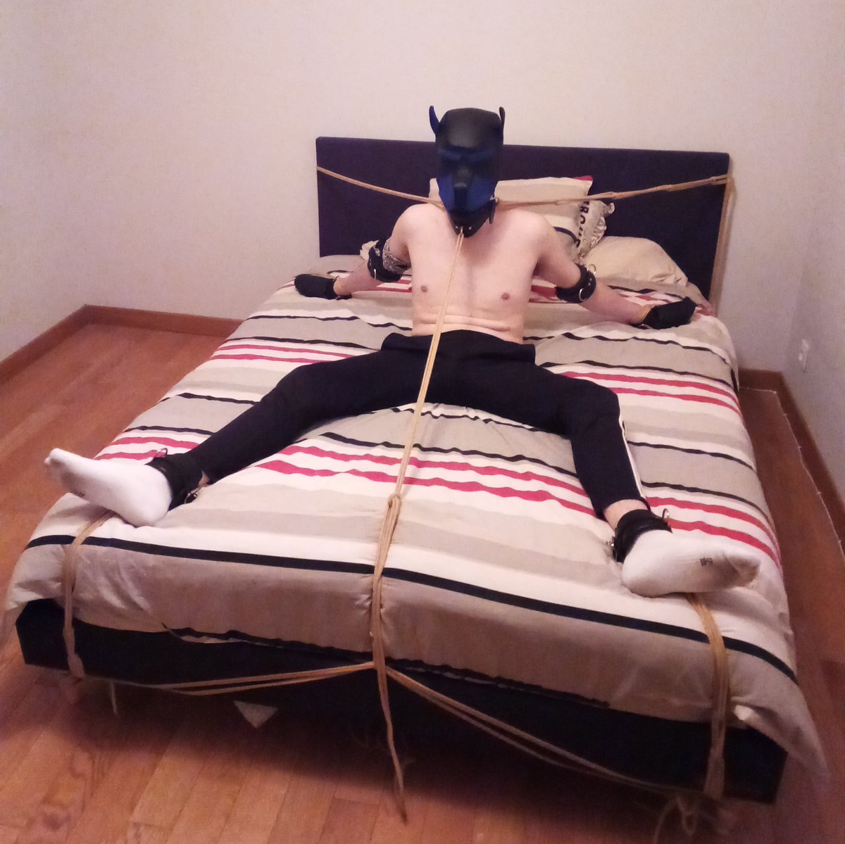 mouchacho76's tweet photo. Encore un bon moment passé en compagnie de ce Brat, @Yshka20 😈

#gayfrance #gayfetish #gaypups #bdsm #gay #gaybdsm #soumis #sm #gaypup #puppyplay #brat #kink #bondage #breathcontrol #gaybondage #ropebondage #mummification https://t.co/PCcrl4gCFK