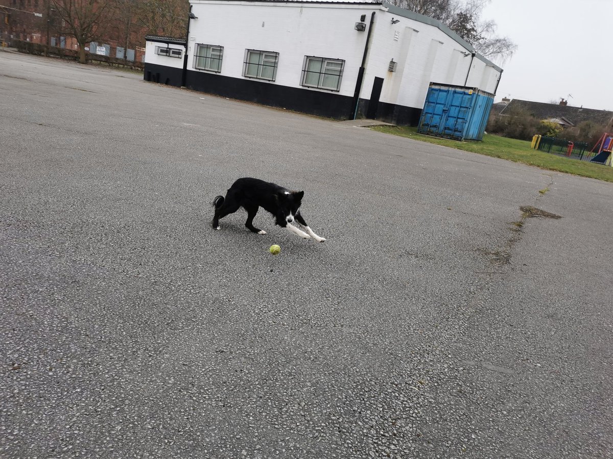 AbiDack's tweet photo. Thought we'd make a start on our miles for the @SelbyHighPE challenge. It'll only be a short one today, but the fresh air will do us some good. https://t.co/snWerzxsrs