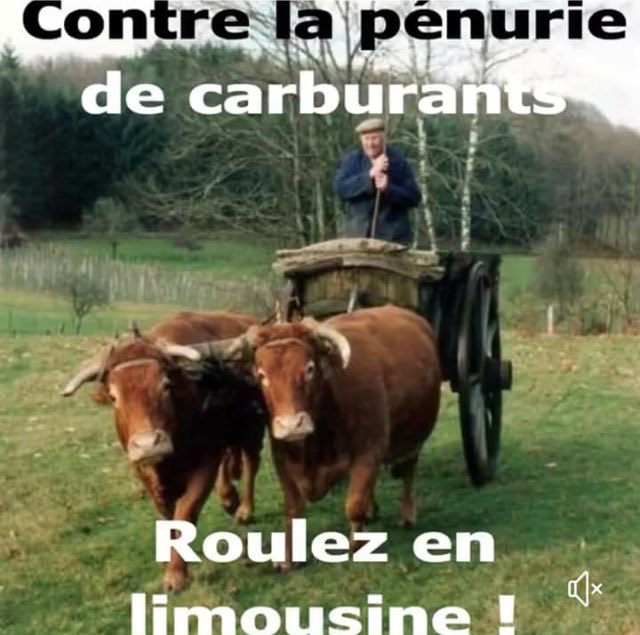 Véronique Langlais tweet media