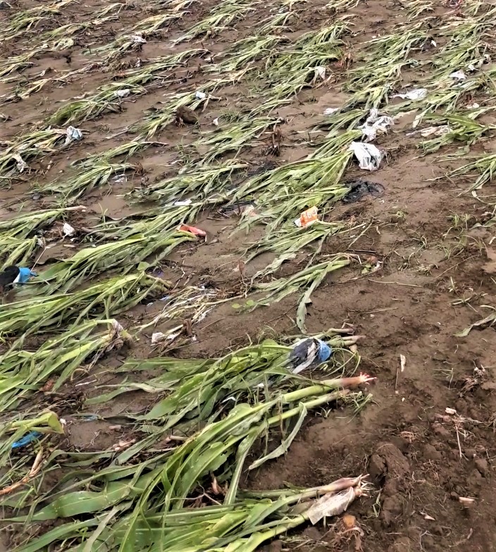 Little boys are always hungry. These boys are smiling because their families just received bags of corn seeds - the native or Creole corn that they can save and plant year after year. The hurricanes in Honduras devasted basic crops in November.