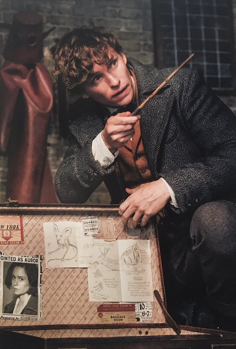 no context harry potter (@potteresbrasil) on Twitter photo 