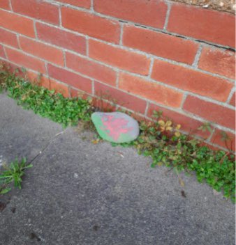 sketty_primary's tweet photo. #CerrigCymraeg 🏴󠁧󠁢󠁷󠁬󠁳󠁿 Looks like our painted stones with Welsh emblems, words &amp; pictures are being found! 🧐Gwaith da bawb!👏 #WythnosCymraeg #Erthygl29 #Erthygl30 #Erthygl31 @NerineGriffith1 @StuartRRSA @childcomwales @wgmin_education @WG_Education https://t.co/BvHAiuvzHY