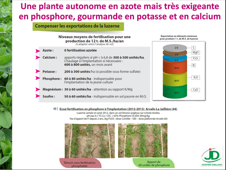 CarreFerme's tweet photo. Nouveau #CarréPerformance à #Ledinghem avec les #éleveurs sur la question #autonomieprotéique
- atouts de la #luzerne avec @plantecompagne 
- optimiser ses fourrages et l'usage de ses #prairies notamment avec le #GNIS
#échanges #collectif #protéines https://t.co/dqfg8EYBzi