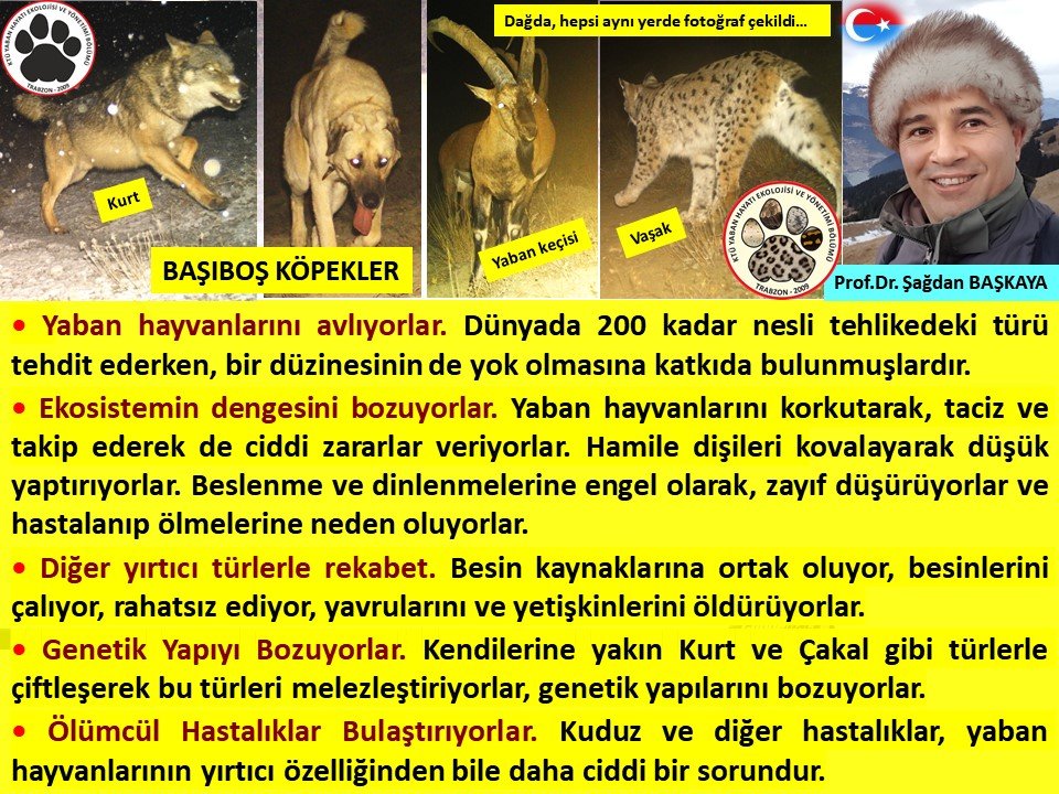 <a href="/Mehmetali_Onel/">Mehmet Ali ÖNEL</a> Maalesef Sn Önel...
Maalesef, Hayvan Hakları yasası değil, Köpek yasası, Köpekleri insanla eşdeğer, hatta üstün tutan bir yasa çıkmak üzere...