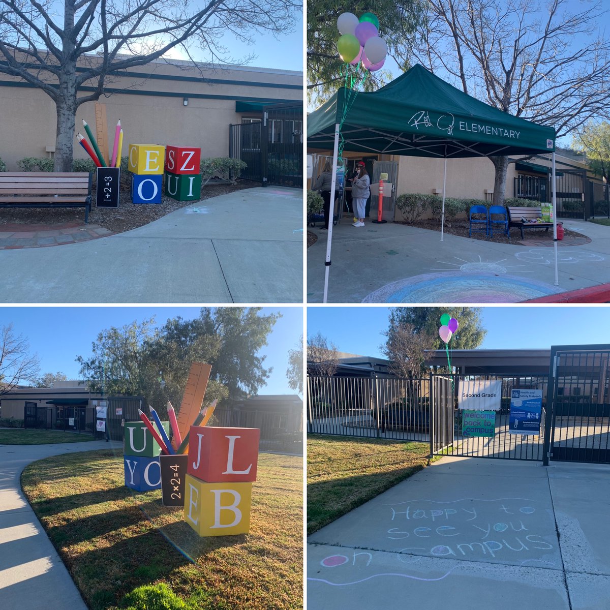 Red Oak PFA tweet media