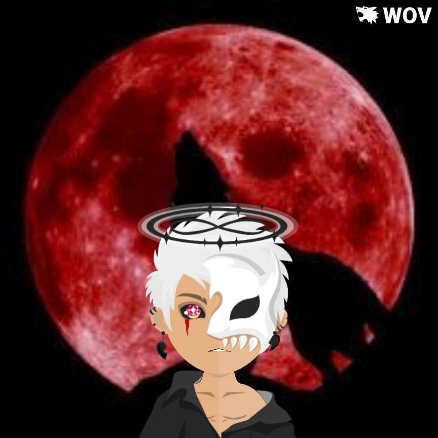 IFlash_wov tweet media