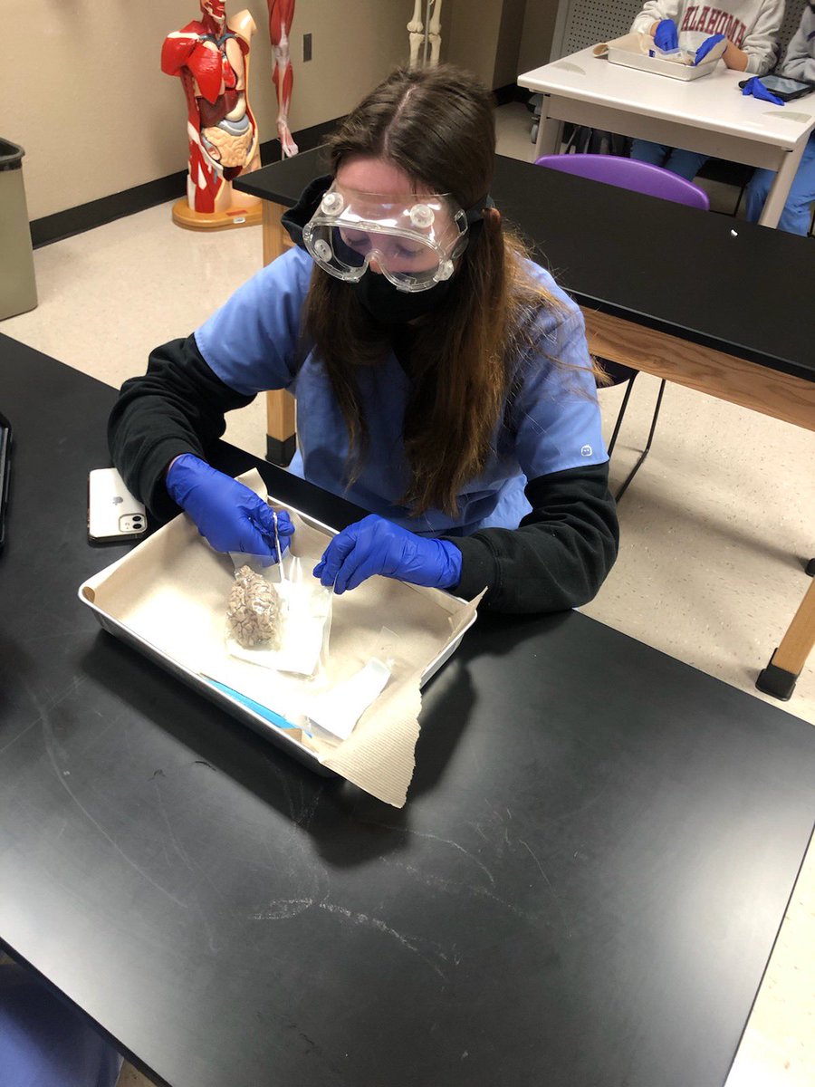 Dissection Day!!  Mrs. Bowman’s A &amp; P students are getting some hands on labs in after being in virtual learning for the past few months!!