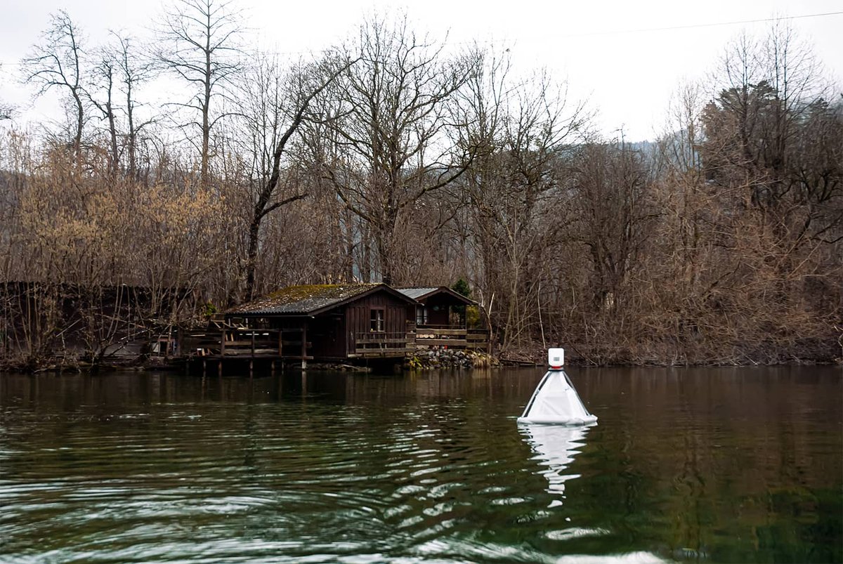 david_cunillera's tweet photo. Last week we had our #WinterSampling for @europonds 🤘🏽
Emerging insects? Eight brave Chironomids 🦟... not much more 😅
Anyway, it was nice to have some fresh air although swans proved to be a real pain in the ass...
With @M_Mathieuresuge & @LenaFehlinger 😁 https://t.co/mAeri4hudt
