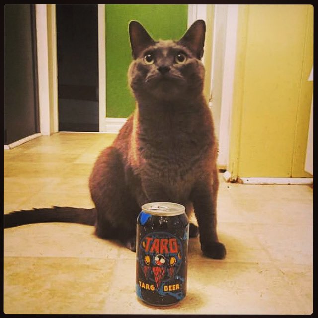 House of TARG tweet media