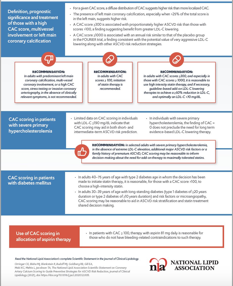 lipiddoc's tweet photo. Wonderful infographics on #CACScoring via @nationallipid Checkout the podcast interview by @alanbrownmd of @carlorringer @MichaelJBlaha https://t.co/ZfDT4kdZco