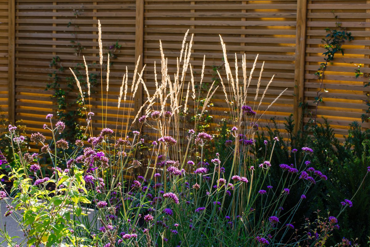 Care home security is paramount – but how do you secure a facility without making it look like a fortress? Peter Jackson from <a href="/Jacksonsfencing/">Jacksons Fencing</a> has some great suggestions on how to achieve this tricky balance…
#carehomes #nursinghomes 
careandnursing-magazine.co.uk/care-home-secu…