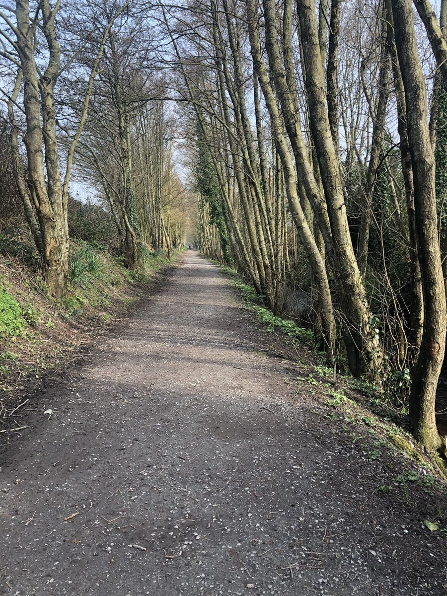 Theresepower's tweet photo. Day 61 #100daysofwalking a lovely lunchtime walk. #seachtainegaeilge #bláthanna #lusanchromchinn listening to tunes #thegambler #yougottaknowwhentoholdthem #knowwhentofoldthem 🎶🎼 @NTBreakfast @NewstalkFM https://t.co/zIqa73JfrE