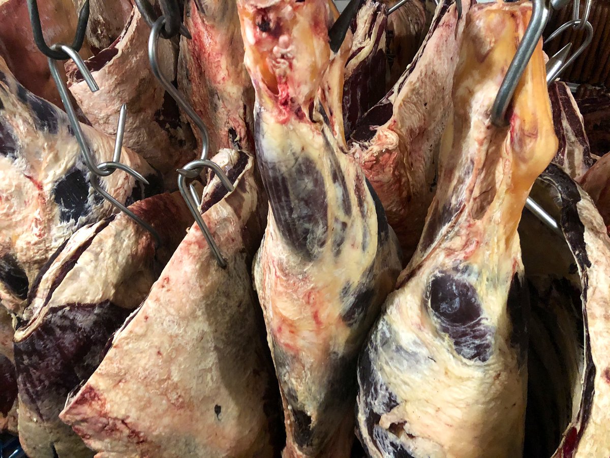 Popped into the bit her shop to pick up our Grassfed soup bones for a customer who makes bone-broth & had a look at a couple of our beefs dry-aging in the cooler... Plenty of fat cover makes for a gourmet #GrassFinished beef eating experience!
833-lb carcass on the left.