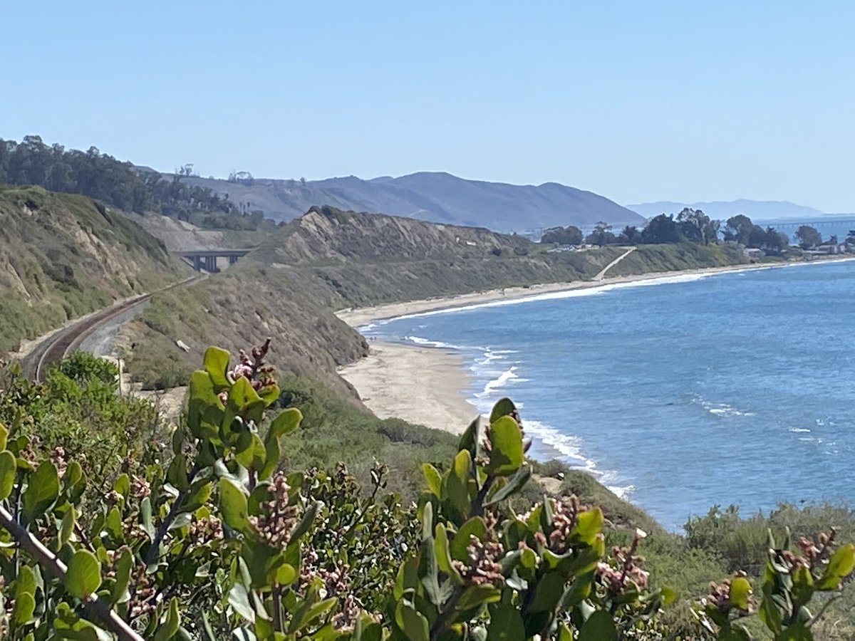 Michael Shermer tweet media