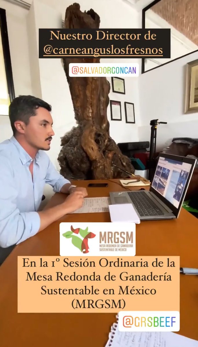 Agroforest_JAL's tweet photo. Hoy fue la Sesión Ordinaria de la Mesa Redonda de Ganadería Sustentable de México, y @anguslosfresnos  presentó sus experiencias y modelo de negocio basado en Buenas Prácticas Ambientales. Rentabilidad y Conservación Ambiental #GanaderíaSustentable #LibrePastoreo #BienestarAnimal https://t.co/jpZ8JTLwIW