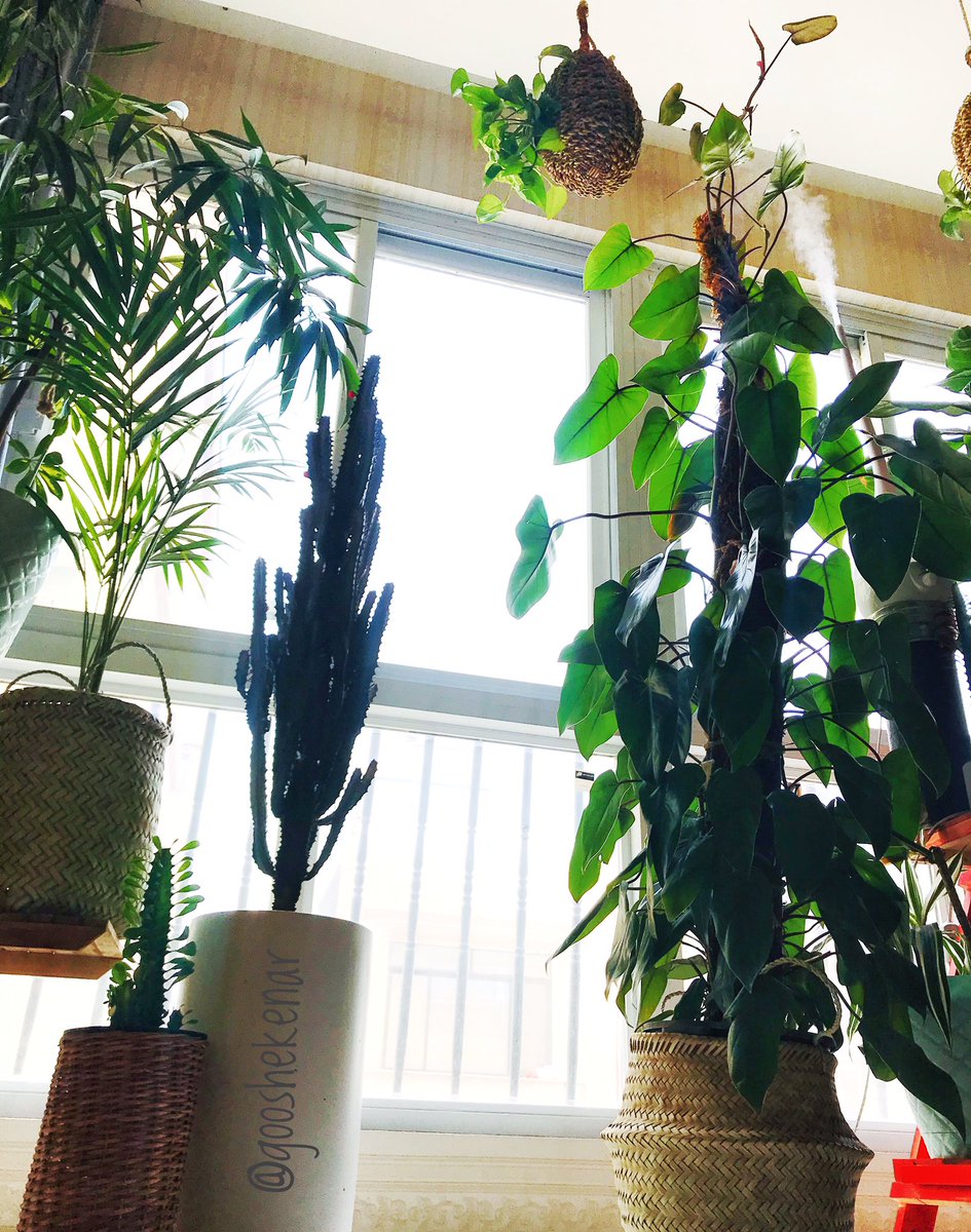 این‌جا ، آن‌چه می‌میرد
برای تُ معنای مرگ ندارد.

#پرویز_اسلامپور 
گوشه ی آرامِ من