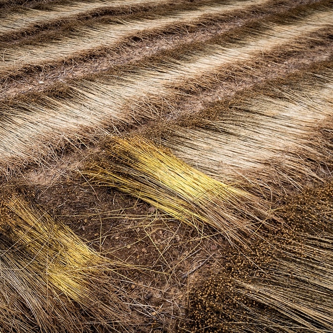 agri_zoom's tweet photo. @CELC_FlaxHemp @J_Denormandie @ChLambert_FNSEA @gomartb52 @TerredeLin @Ecotechnilin @Agri_Normandie @MEBelzung @FNSEA Maintenant @J_Denormandie il faudra revenir pr la floraison du #lin, un moment magique... ms aussi pr visiter l'ensemble de la filière, une fierté mondiale. 
Ds le sud de l'Eure, entre le lin d'hiver et le lin de printemps, on a 2 chances de voir les champs de lin en fleur...😄 https://t.co/4xl0aAh44o