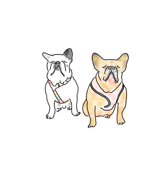 フレブルイラストのtwitterイラスト検索結果
