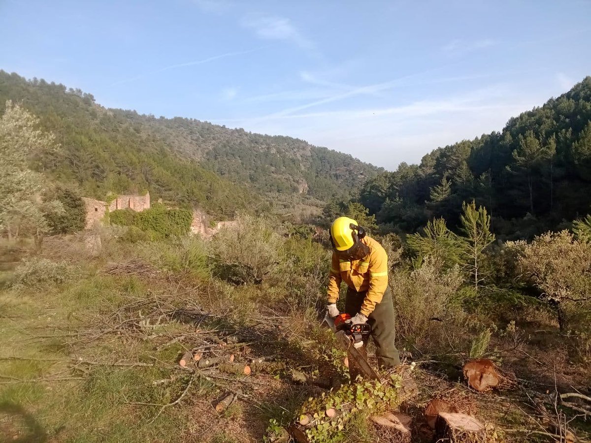 ConnectaNatura's tweet photo. Seguim en #MosaicsDeVida!
L'any passat començarem a recuperar la Roseta, desbrossant tota la finca i fent una poda per a recuperar les oliveres. Ara, ens encarreguem de trossejar peus de cirerer morts, per eliminar material combustible i reduir el risc d'incendi. https://t.co/68jRSXawIx
