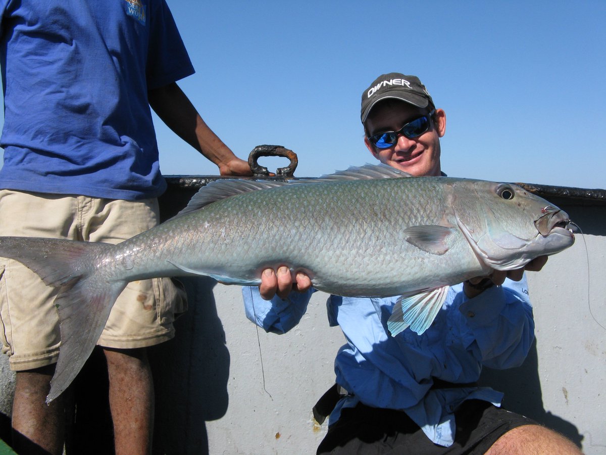ATAP_ZA's tweet photo. Researchers from ORI @saambr tagged 37 kaakap between Dec' 2013 and Dec' 2017. All but six tags have expired and > 170 000 detections have been recorded – that’s a pretty decent start for learning a bit more about their movements.

#TeleostTuesday #telemetry 

📸 Dr Bruce Mann https://t.co/pBAy1Rxk0O