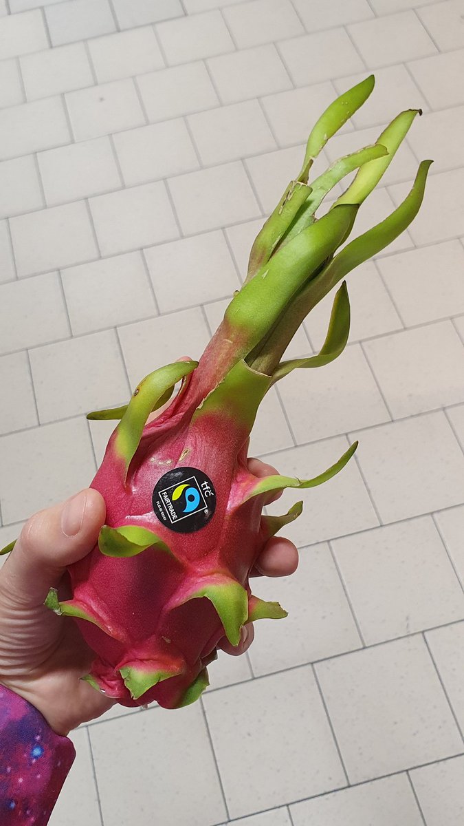 ElementAutor's tweet image. Heute Abend gibt&apos;s Drachenfrucht 🍊🐉 😋.

Ich finde, sie sieht ziemlich cool aus und hat echt einen echt fetzigen Namen, leider schmeckt sie nach fast gar nichts 😅.