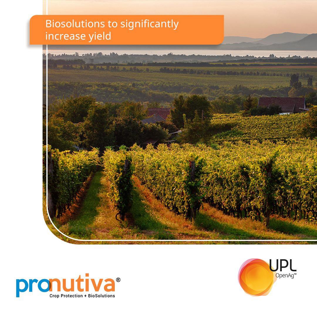 In Hungary, the WOSR Technology offered through our ProNutiva program incorporates traditional plant protection products and biostimutants.
Know more:
upl-ltd.com/solutions/pron…

#OpenAg #ProNutiva #BioSolutions #BetterYields #OpenInnovation
#FarmingSolutions #OnFieldWithUPL