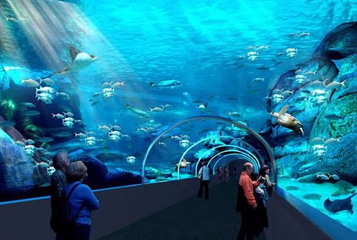 LoommPt's tweet photo. #มมฉลามดุ #minmon
02 AQUARIUM
Read : https://t.co/d2G44AGDl5 https://t.co/Dx6lnQhOvq