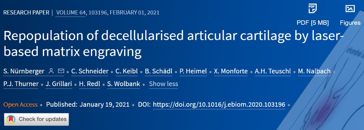 eBioMedicine's tweet photo. Highlight of our Feb issue: a team led by Dr Nürnberger @LBG_research @FHTechnikumWien presents a biomaterial, CartiScaff, with promising properties to accelerate rehabilitation & to improve longterm clinical success of #cartilagedefect treatment.
Read https://t.co/lTMuduC52j https://t.co/zPp4wmjeXk