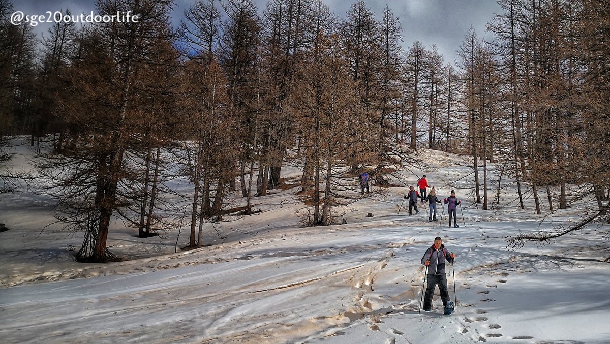 InfoSge20's tweet photo. Avere la possibilità di scegliere il proprio percorso, tutti i giorni, con le ciaspole come nella vita, significa essere ricchi. Serve averne coscienza. #outdoorlife #nevediversa #snowshoeing #lettheoutdoorbeyourcure #guidaescursionistica #latuaguidaoutdoor https://t.co/gGMoxPsVZ3