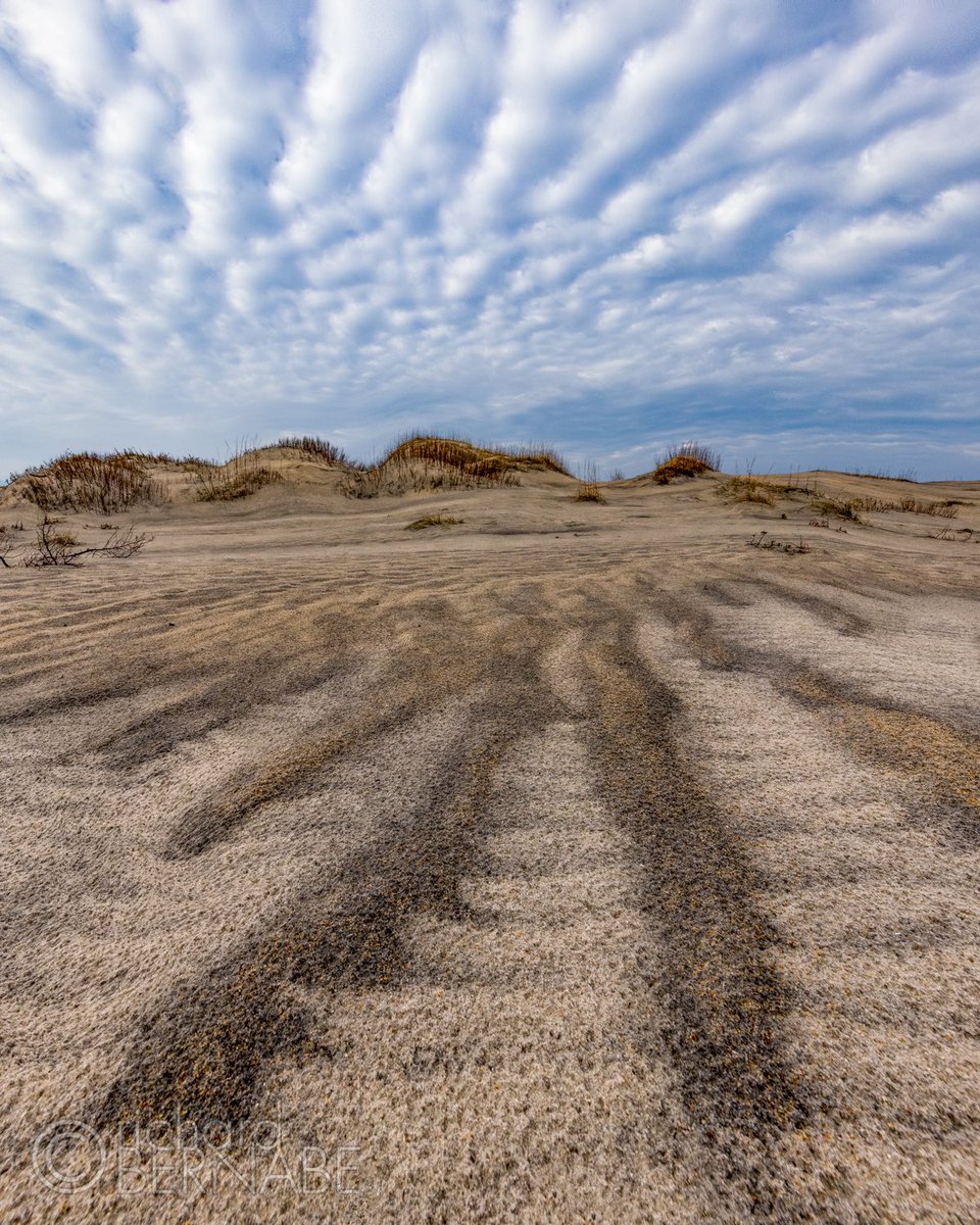 bernabephoto's tweet photo. “Moving in Time” Sand patterns and a mackeral sky, Cape Hatteras National Seashore, Outer Banks, North Carolina USA #photography 

Shot on #LexarProCFExpress https://t.co/aru86nBGTr