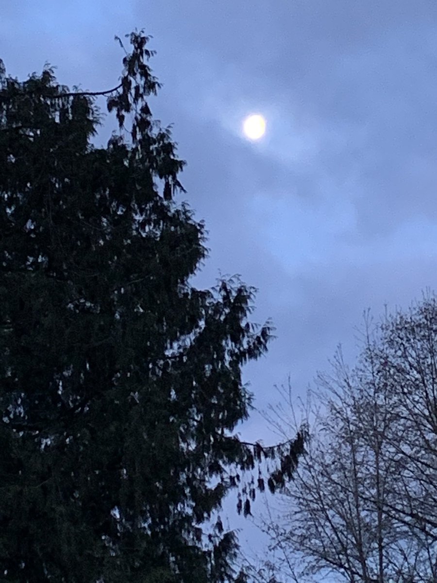 Caught a glimpse of this as the clouds slowly drifted by.