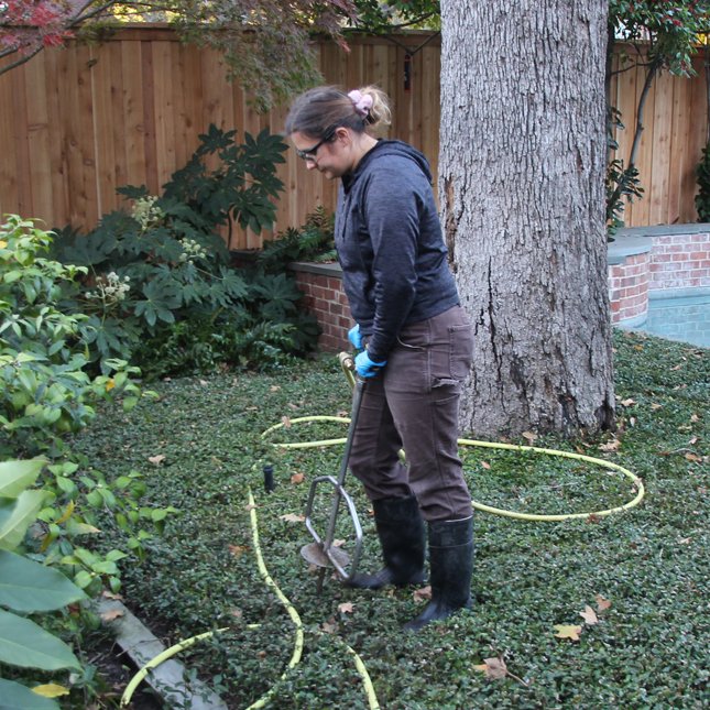 Soil testing is one of the many services that Sam Hill Tree Care offers, and now is the perfect time to develop a fertilization plan for the upcoming year. Call (972) 481-9565 to set up your evaluation with one of our Certified Arborists today. <a href="/samhilltreecare/">Sam Hill Tree Care</a> #soilfertilization