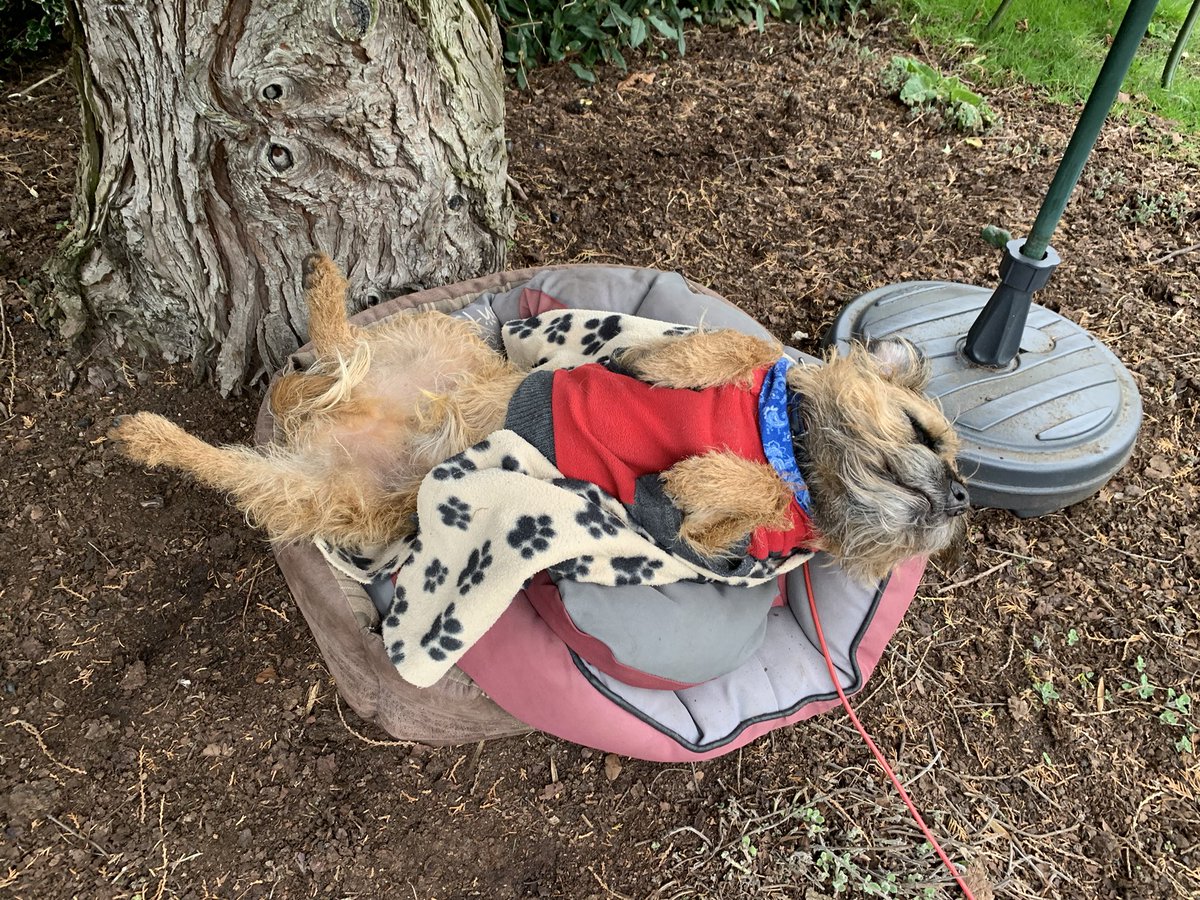 hamish_hrh's tweet photo. When going to feed the cows just isn’t on your work schedule #btposse https://t.co/zHKhnofam7