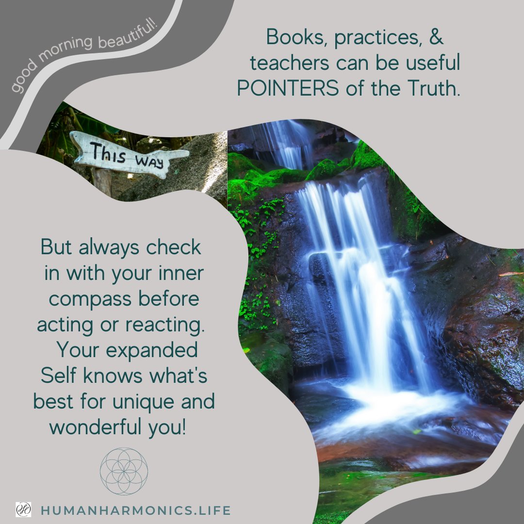 Human_Harmonics's tweet photo. Books, practices &amp; teachers can be useful POINTERS of the truth #dailyinspiration #humanharmonics #love #empower #inspirational #inspiration #motivation #motivational #success 
#believe #mindset https://t.co/J0JCTN86J5