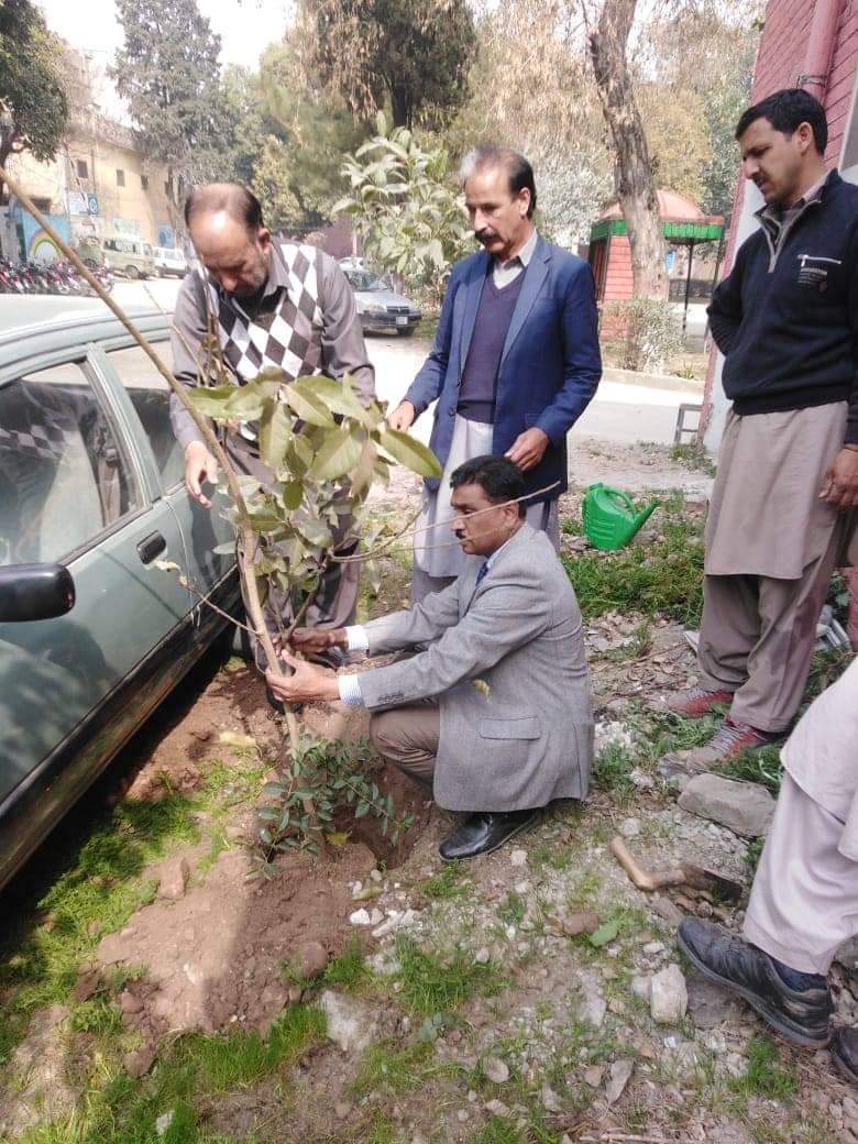 MGreenPakistan's tweet photo. If you could just imagine the value of the single seed you planted today after a decade you would have planted a whole forest.
Member of MPG Mr.Khalid planted many trees and plants in Rawalpindi.
#MakePakistanGreen #TeamRwpIsb https://t.co/scDjFcDYzN