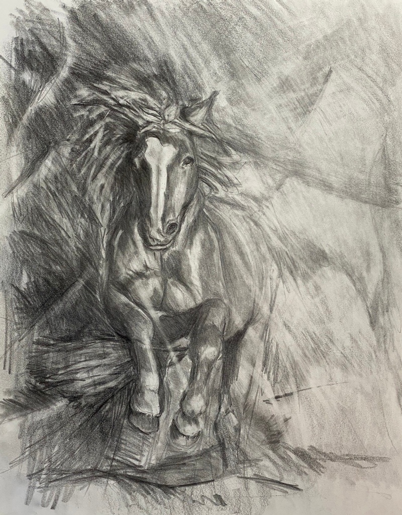 cosmic__bird's tweet photo. Horse Study 4
14x11
Graphite on Paper
Copyright 2021 Cosmic Bird Art
$50

https://t.co/YNbteI8l0B

#drawing #graphitedrawing #fineart #contemporaryart #sketch #sketching #horsedrawing #naturedrawing #experimentation #artisticprocess #artistprocess #pencildrawing #pencilsketch https://t.co/xPQUNqFLla