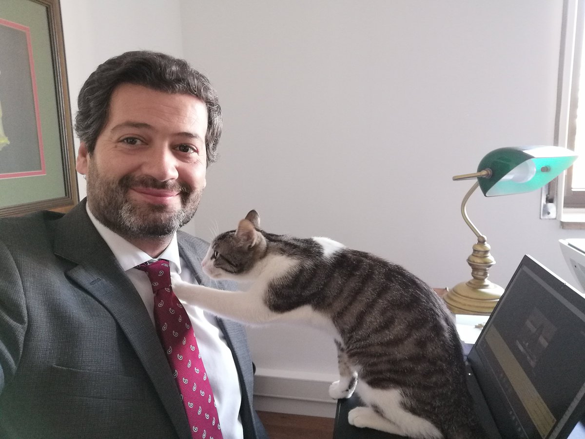 AndreCVentura's tweet photo. Quando um deputado tenta trabalhar, mas o António tem outros planos para a tarde! 🙃 https://t.co/LR6JZkkbzT