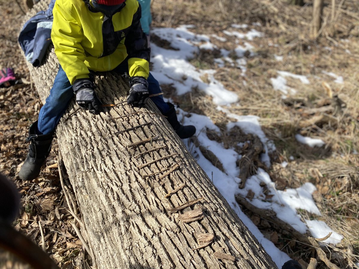 Welcoming our Gr.2s to #outdoorlearning at the woodlot. Working on our subtraction skills with  game of nim with #Nature ‘s math manipulatives and the greatest seating plans🌲#Math, with a healthy dose of vitamin D ☀️#wellbeing <a href="/CreativeSTAR/">Juliet Robertson</a> <a href="/clarksdalehdsb/">@clarksdaleHDSB</a>