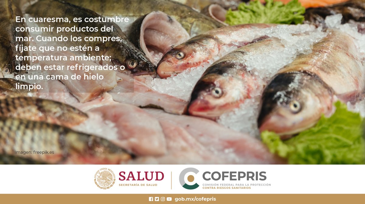 COFEPRIS's tweet photo. No compres productos del mar que estén expuestos a temperatura ambiente, verifica que estén refrigerados o en cama de hielo.

#CuidaTuSalud https://t.co/S5OGwnKg8E