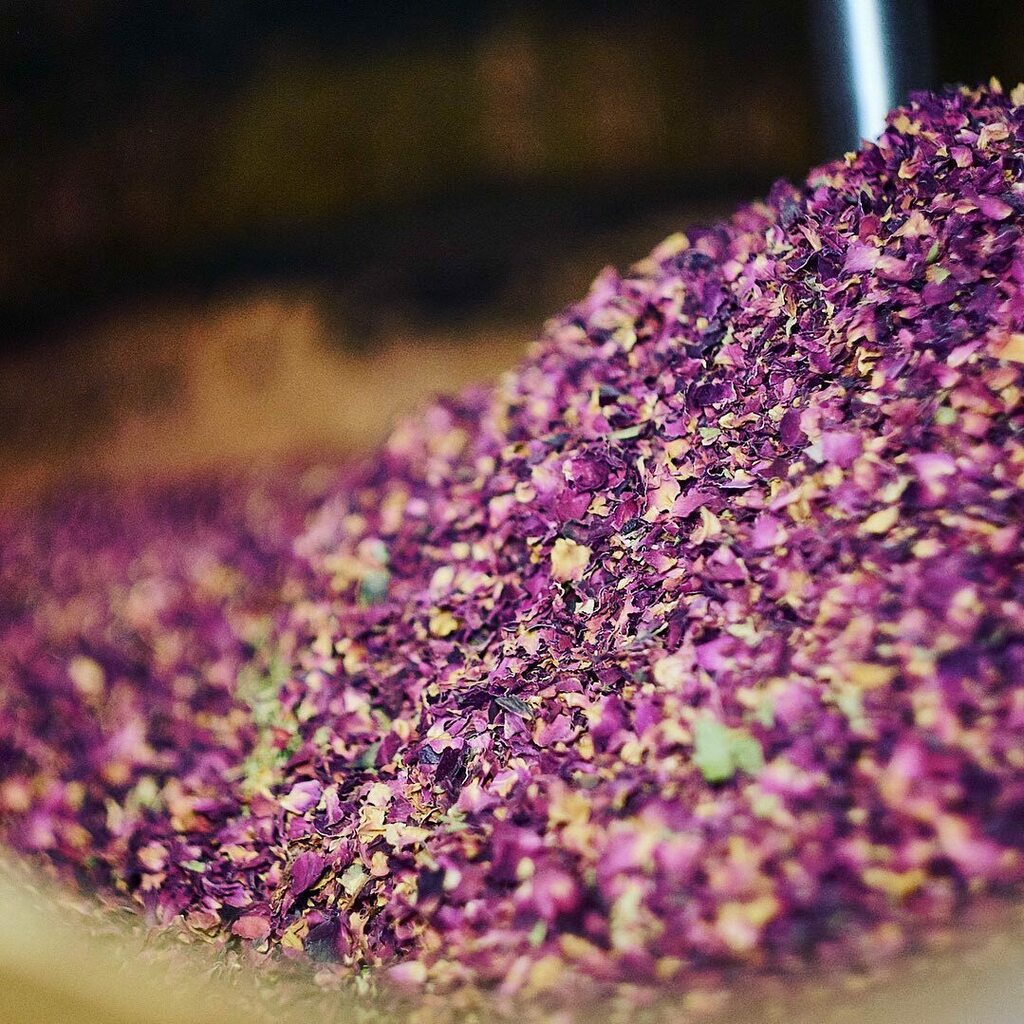 Fantastic #floral flavours from dried #rosepetals heading into the still for a run of <a href="/jekkasherbfarm/">Jekka's</a> <a href="/6oclockgin/">6 O'clock Gin</a> #gin. From an archive of work shot with <a href="/6oclockgin/">6 O'clock Gin</a> over the last couple of years. 
.
.
.
.
.
#bristol #feedyoursoul #collectivelycreate #fo… instagr.am/p/CL7DVgRDXQJ/