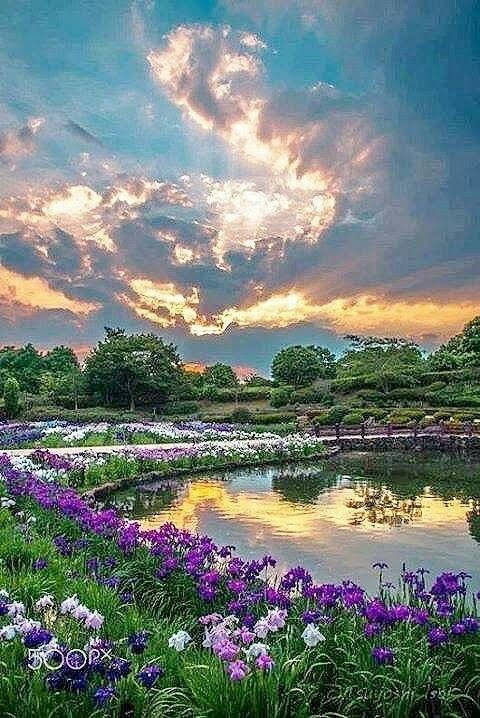 paparosso60's tweet photo. Amazing World 🌏🌎🌍😍🤗🙏 https://t.co/Ly1afqFg1H