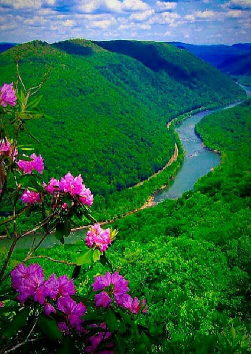 paparosso60's tweet photo. Amazing World 🌏🌎🌍😍🤗🙏 https://t.co/Ly1afqFg1H