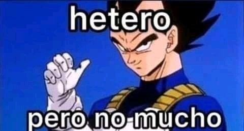 ㅤㅤ
ㅤㅤ/  #porunpietrobisexual  
ㅤㅤ