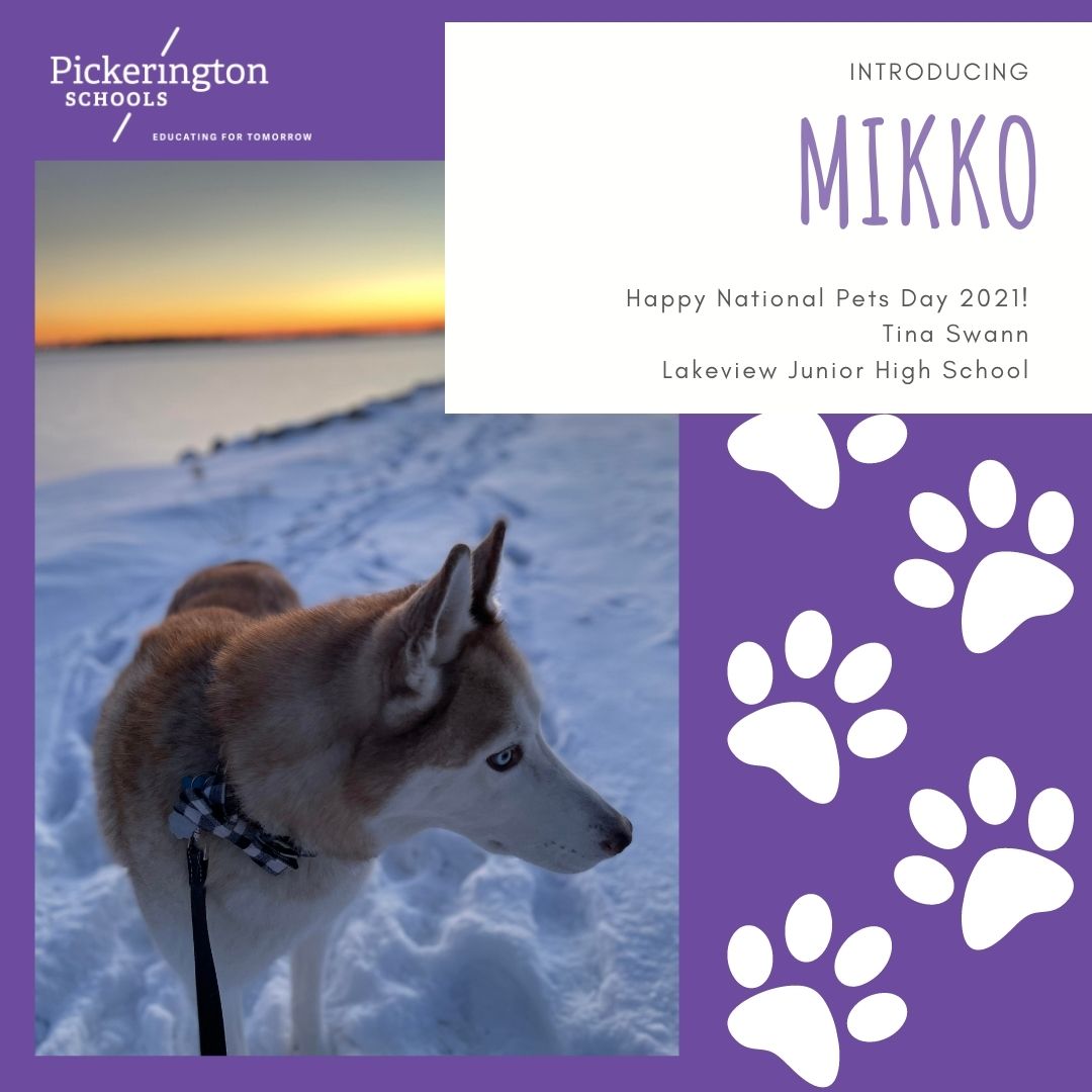 PLSD's tweet photo. Here's another group of darling pictures featuring the pets of @plsd staff members! It's day 9 of our #NationalPetDay celebration. We love these photos so much that if you sent in your pet picture, don't worry. We will continue sharing them until we post every single one! https://t.co/9vrOEBfg3P
