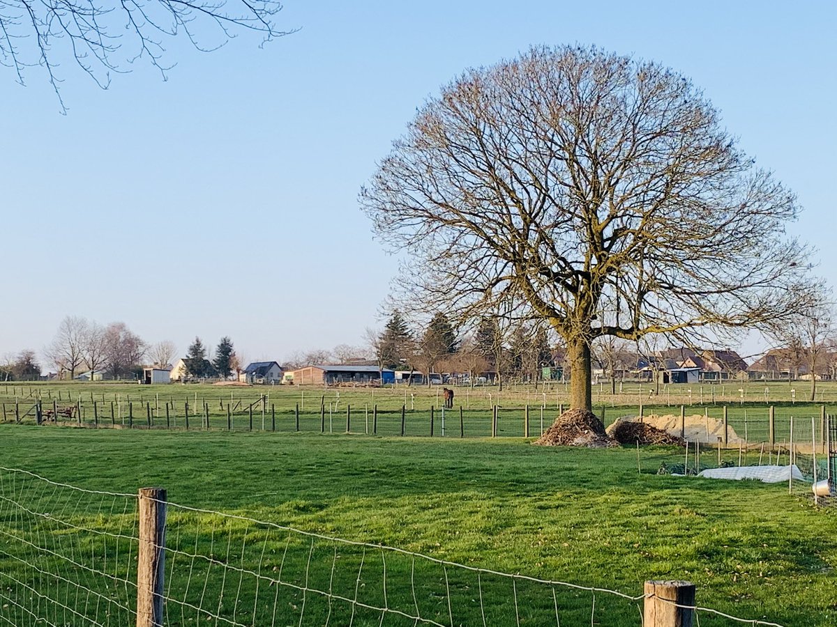 #vrtweer <a href="/frankdeboosere/">Frank Deboosere</a> <a href="/sabinehagedoren/">Sabine Hagedoren</a> <a href="/meteoBram/">Bram Verbruggen</a>   Zottegem 17u40   14*C   ZZO wind 5 km/u   57% vochtigheid  Wat een mooie dag vandaag, we hebben in de hof gewerkt, als voorbereiding van de lente